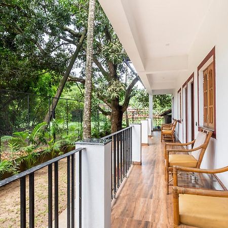 Casa De Mor Room With Pool Anjuna Ngoại thất bức ảnh